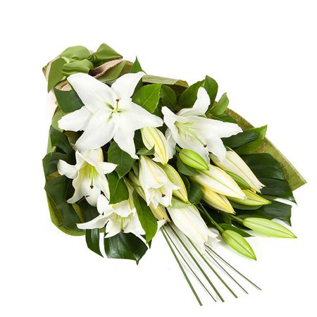 Oriental Lilies – In Vogue White